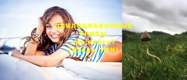 прущая мука Верхний Тагил